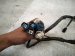 2006 Honda Accord Engine Room Harness 2.4l Fwd 32100 SDA A22 Replacement 2006 Honda Accord Engine Room Harness 2.4l Fwd 32100 SDA A22 Replacement thumbnail