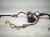2006 Honda Accord Engine Room Harness 2.4l Fwd 32100 SDA A22 Replacement 2006 Honda Accord Engine Room Harness 2.4l Fwd 32100 SDA A22 Replacement thumbnail