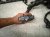 2006 Honda Accord Engine Wire Harness 2.4l At Fwd 32110 RAA L62 Replacement 2006 Honda Accord Engine Wire Harness 2.4l At Fwd 32110 RAA L62 Replacement thumbnail