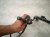 2006 Honda Accord Engine Wire Harness 2.4l At Fwd 32110 RAA L62 Replacement 2006 Honda Accord Engine Wire Harness 2.4l At Fwd 32110 RAA L62 Replacement thumbnail