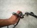 2006 Honda Accord Engine Wire Harness 2.4l At Fwd 32110 RAA L62 Replacement 2006 Honda Accord Engine Wire Harness 2.4l At Fwd 32110 RAA L62 Replacement thumbnail
