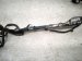 2021 Honda CR V Main Engine Harness 32110 5RD A00 Replacement 2021 Honda CR V Main Engine Harness 32110 5RD A00 Replacement thumbnail