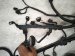 2021 Honda CR V Main Engine Harness 32110 5RD A00 Replacement 2021 Honda CR V Main Engine Harness 32110 5RD A00 Replacement thumbnail