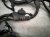 2019 Honda FIT Engine Wire Harness 1.5l At Ex 32110 5R1 A84 Replacement 2019 Honda FIT Engine Wire Harness 1.5l At Ex 32110 5R1 A84 Replacement thumbnail