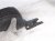 2022 Honda HR V Rear Driver Inner Fender Liner 74592 T7W K01 Replacement 2022 Honda HR V Rear Driver Inner Fender Liner 74592 T7W K01 Replacement thumbnail