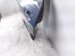 2023 Mazda Cx 30 Rear Driver Door Grey No Inside Trim DLY0 73 02X Replacement 2023 Mazda Cx 30 Rear Driver Door Grey No Inside Trim DLY0 73 02X Replacement thumbnail