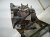 2023 Mazda Cx 30 Automatic Transmission = 76k Mi GTTA 03 000R V0 Replacement 2023 Mazda Cx 30 Automatic Transmission = 76k Mi GTTA 03 000R V0 Replacement thumbnail