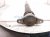 2023 Mazda Cx 30 Strut / Spring / Rear Driver Shock Absorber QNCA 28 700 Replacement 2023 Mazda Cx 30 Strut / Spring / Rear Driver Shock Absorber QNCA 28 700 Replacement thumbnail