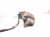 2023 Mazda Cx 30 Front Passenger Brake Caliper DGY9 33 98Z Replacement 2023 Mazda Cx 30 Front Passenger Brake Caliper DGY9 33 98Z Replacement thumbnail