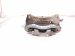 2023 Mazda Cx 30 Front Passenger Brake Caliper DGY9 33 98Z Replacement 2023 Mazda Cx 30 Front Passenger Brake Caliper DGY9 33 98Z Replacement thumbnail