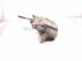 2023 Mazda Cx 30 Front Driver Brake Caliper DGY9 33 99Z Replacement 2023 Mazda Cx 30 Front Driver Brake Caliper DGY9 33 99Z Replacement thumbnail