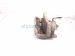 2023 Mazda Cx 30 Front Driver Brake Caliper DGY9 33 99Z Replacement 2023 Mazda Cx 30 Front Driver Brake Caliper DGY9 33 99Z Replacement thumbnail
