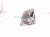 2023 Mazda Cx 30 Alternator / Generator PGH4 18 300 Replacement 2023 Mazda Cx 30 Alternator / Generator PGH4 18 300 Replacement thumbnail