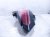 2026 GMC Acadia Light / Rear Passenger Tail Lamp (on Body) 42938269 Replacement 2026 GMC Acadia Light / Rear Passenger Tail Lamp (on Body) 42938269 Replacement thumbnail