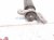 2026 GMC Acadia Strut / Spring / Rear Driver Shock Absorber 26511981 Replacement 2026 GMC Acadia Strut / Spring / Rear Driver Shock Absorber 26511981 Replacement thumbnail