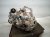 2024 Toyota Rav 4 Automatic Transmission = 92k Mi 30500 0R080 Replacement 2024 Toyota Rav 4 Automatic Transmission = 92k Mi 30500 0R080 Replacement thumbnail