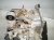 2024 Toyota Rav 4 Automatic Transmission = 92k Mi 30500 0R080 Replacement 2024 Toyota Rav 4 Automatic Transmission = 92k Mi 30500 0R080 Replacement thumbnail