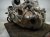 2024 Toyota Rav 4 Automatic Transmission = 92k Mi 30500 0R080 Replacement 2024 Toyota Rav 4 Automatic Transmission = 92k Mi 30500 0R080 Replacement thumbnail
