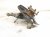 2024 Toyota Rav 4 Axle Stub Rear Driver Spindle Knuckle Hub Fwd 42305 0R090 Replacement 2024 Toyota Rav 4 Axle Stub Rear Driver Spindle Knuckle Hub Fwd 42305 0R090 Replacement thumbnail