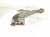 2024 Toyota Rav 4 Front Driver Lower Control Arm 48069 0R050 Replacement 2024 Toyota Rav 4 Front Driver Lower Control Arm 48069 0R050 Replacement thumbnail