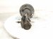 2024 Toyota Rav 4 Front Driver Strut Absorber + Spring 48520 8Z227 Replacement 2024 Toyota Rav 4 Front Driver Strut Absorber + Spring 48520 8Z227 Replacement thumbnail
