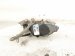 2024 Toyota Rav 4 Rear Driver Brake Caliper 47822 06160 Replacement 2024 Toyota Rav 4 Rear Driver Brake Caliper 47822 06160 Replacement thumbnail