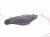 2013 Lexus Gs350 Rear Passenger Spring Seat Lower Control Arm 48730 30140 Replacement 2013 Lexus Gs350 Rear Passenger Spring Seat Lower Control Arm 48730 30140 Replacement thumbnail