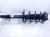 2025 Honda Pilot Front Passenger Strut Absorber + Spring 51611 T90 A02 Replacement 2025 Honda Pilot Front Passenger Strut Absorber + Spring 51611 T90 A02 Replacement thumbnail