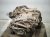2014 Nissan Pathfinder Automatic Transmission = 190k Mi 31020 3WX0E Replacement 2014 Nissan Pathfinder Automatic Transmission = 190k Mi 31020 3WX0E Replacement thumbnail