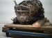 2014 Nissan Pathfinder Automatic Transmission = 190k Mi 31020 3WX0E Replacement 2014 Nissan Pathfinder Automatic Transmission = 190k Mi 31020 3WX0E Replacement thumbnail