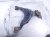 2018 Toyota Tacoma Front Driver Lower Control Arm 48069 04060 Replacement 2018 Toyota Tacoma Front Driver Lower Control Arm 48069 04060 Replacement thumbnail