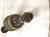 2020 Hyundai Veloster Front Driver Cv Axle Drive Shaft 49500 K9100 SJ Replacement 2020 Hyundai Veloster Front Driver Cv Axle Drive Shaft 49500 K9100 SJ Replacement thumbnail