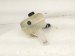 2020 Hyundai Veloster Coolant Overflow Reservoir Tank 25430 S0000 Replacement 2020 Hyundai Veloster Coolant Overflow Reservoir Tank 25430 S0000 Replacement thumbnail