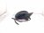 2025 Honda Civic Rear Passenger Side View Mirror Black 76208 T20 A22 Replacement 2025 Honda Civic Rear Passenger Side View Mirror Black 76208 T20 A22 Replacement thumbnail