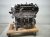 2025 Honda Civic Long Block Engine / Motor = 27k Mi 10002 6MD A02 Replacement 2025 Honda Civic Long Block Engine / Motor = 27k Mi 10002 6MD A02 Replacement thumbnail