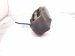 2013 Lexus Gs350 Core Front Passenger Brake Caliper 47730 22460 Replacement 2013 Lexus Gs350 Core Front Passenger Brake Caliper 47730 22460 Replacement thumbnail