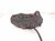 2013 Lexus Gs350 Core Front Passenger Brake Caliper 47730 22460 Replacement 2013 Lexus Gs350 Core Front Passenger Brake Caliper 47730 22460 Replacement thumbnail