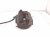 2013 Lexus Gs350 Core Front Passenger Brake Caliper 47730 22460 Replacement 2013 Lexus Gs350 Core Front Passenger Brake Caliper 47730 22460 Replacement thumbnail