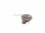 2000 Toyota Tacoma Low Note Horn 86520 08010 Replacement 2000 Toyota Tacoma Low Note Horn 86520 08010 Replacement thumbnail