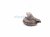 2000 Toyota Tacoma Low Note Horn 86520 08010 Replacement 2000 Toyota Tacoma Low Note Horn 86520 08010 Replacement thumbnail