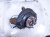 2022 Honda Passport Front Driver Spindle Knuckle Hub 51216 TGS A01 Replacement 2022 Honda Passport Front Driver Spindle Knuckle Hub 51216 TGS A01 Replacement thumbnail