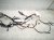 2022 Lexus Ux250h Dash Instrument Wire Harness Hyb 82145 76V00 Replacement 2022 Lexus Ux250h Dash Instrument Wire Harness Hyb 82145 76V00 Replacement thumbnail