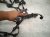 2022 Lexus Ux250h Engine Wire Harness 2.0l Hyb Awd 82121 76100 Replacement 2022 Lexus Ux250h Engine Wire Harness 2.0l Hyb Awd 82121 76100 Replacement thumbnail