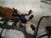 2022 Lexus Ux250h Engine Wire Harness 2.0l Hyb Awd 82121 76100 Replacement 2022 Lexus Ux250h Engine Wire Harness 2.0l Hyb Awd 82121 76100 Replacement thumbnail