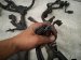 2022 Lexus Ux250h Engine Wire Harness 2.0l Hyb Awd 82121 76100 Replacement 2022 Lexus Ux250h Engine Wire Harness 2.0l Hyb Awd 82121 76100 Replacement thumbnail
