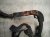 2022 Lexus Ux250h Engine Wire Harness 2.0l Hyb Awd 82121 76100 Replacement 2022 Lexus Ux250h Engine Wire Harness 2.0l Hyb Awd 82121 76100 Replacement thumbnail