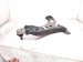 2025 Toyota Camry Front Driver Lower Control Arm 48069 06200 Replacement 2025 Toyota Camry Front Driver Lower Control Arm 48069 06200 Replacement thumbnail