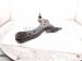 2025 Toyota Camry Front Driver Lower Control Arm 48069 06200 Replacement 2025 Toyota Camry Front Driver Lower Control Arm 48069 06200 Replacement thumbnail