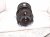 2025 Toyota Camry Front Driver Strut Absorber + Spring 48520 8Z478 Replacement 2025 Toyota Camry Front Driver Strut Absorber + Spring 48520 8Z478 Replacement thumbnail