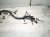2021 Lexus Is300 Dash Instrument Wire Harness Rwd 86101 24800 Replacement 2021 Lexus Is300 Dash Instrument Wire Harness Rwd 86101 24800 Replacement thumbnail